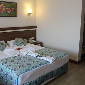 Large Single Room